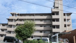 ライフアップハイツ